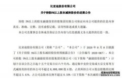 比亚迪：融捷投资控股减持公司0.12%股份