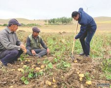 从每9人中有1人贫困，到贫困发生率降为0，全国人大机关扶贫故事：仅一个村级光伏电站，就带来收益3088万