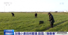 各地气温回升 各项农业生产正在进行