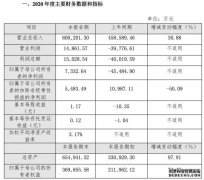 九号公司2020年净利润7332.64万元 扭亏为盈
