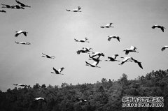昆明争当全国生态文明建设示范市