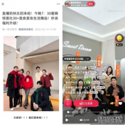 薇娅不在的70天，李佳琦一夜卖了28个亿